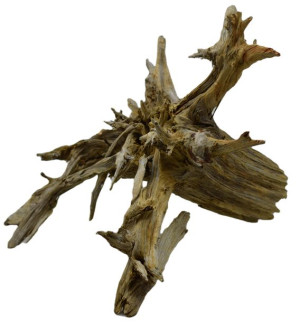 KORZEŃ DO AKWARIUM Old Pine Wood 3000-67x63x47