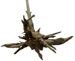 KORZEŃ DO AKWARIUM Old Pine Wood 3004-129x98x68
