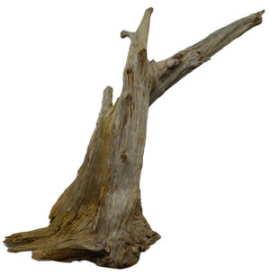 KORZEŃ DO AKWARIUM Old Pine Wood 3005-80x35x30