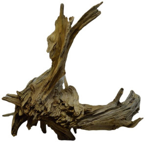 KORZEŃ DO AKWARIUM Old Pine Wood 3007-70x71x54