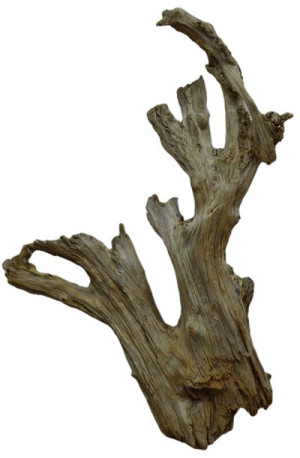 KORZEŃ DO AKWARIUM Old Pine Wood 3009-76x65x16