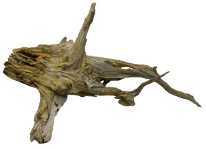 KORZEŃ DO AKWARIUM Old Pine Wood 3020-100x62x54
