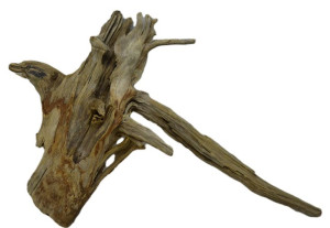 KORZEŃ DO AKWARIUM Old Pine Wood 3026-48x31x20