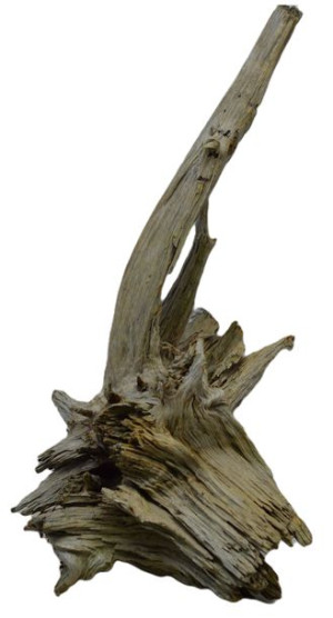 KORZEŃ DO AKWARIUM Old Pine Wood 3037-84x52x44