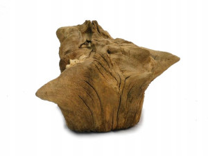 Korzeń Dębu do Akwarium 43x29x25-58