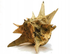 Korzeń Dębu do Akwarium 67x54x32-81