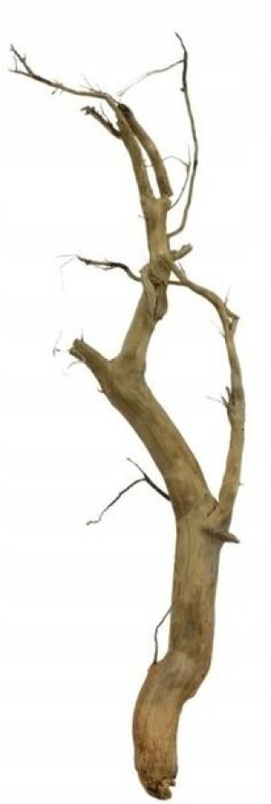 Korzeń Red Moor Tree DO AKWARIUM 65x15x5cm .1147