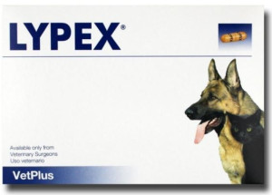 	 Lypex pies/kot zapalenie trzustki 60 kapsułek
