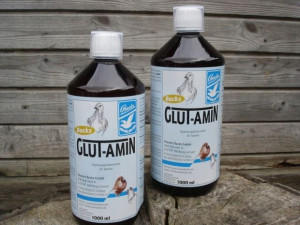 Glutamin 1 l Backs