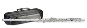 Stagg Ws-fl211s Flet Poprzeczny E Mechanika