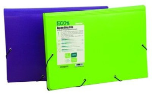 Teczka z przegródkami 6 Argo ECO EXPANDING FILE