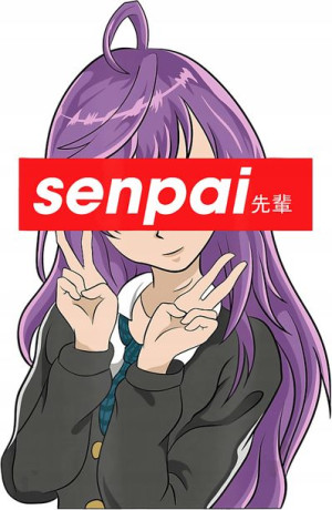 Naprasowanka Hentai Anime Manga Bluza Naklejki Fan