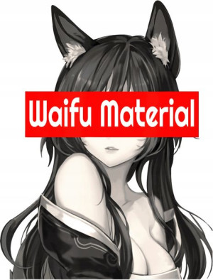 Naprasowanka Hentai Anime Manga Bluza Naklejki Fan