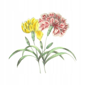 Naprasowanka Kwiaty Termo Naklejka Aplikacja