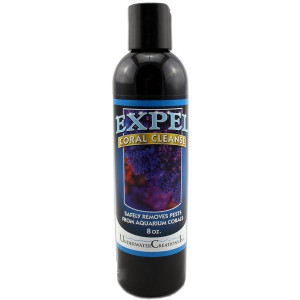 Expel Coral Cleanse 8oz 236ml DIP