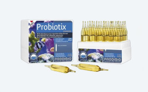 Prodibio Probiotix bakterie probiotyczne