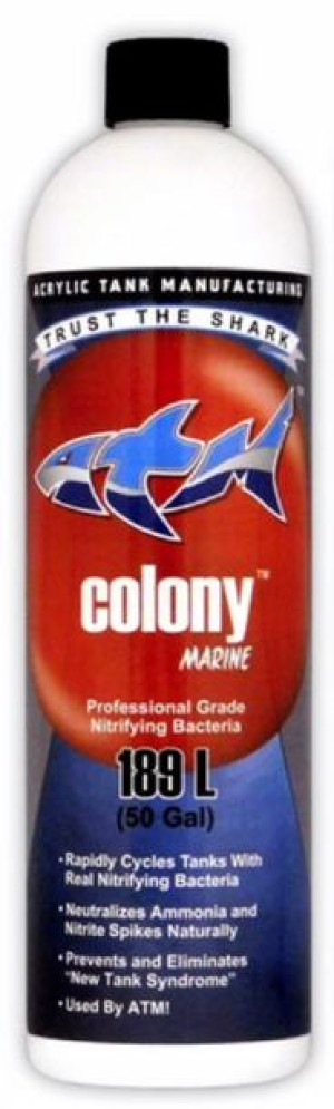 ATM Colony Marine 473ml