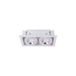 Downlight Es111