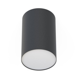 Point Plexi L