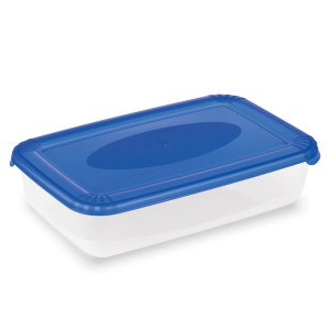 Pojemnik na żywność Plast Team Polar 1,9 l
