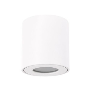 Lampa plafon sufitowy ZORBA DWL white 03954 GU10