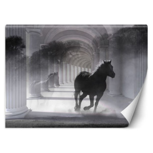 FOTOTAPETA 3D Tunel Kolumny Koń Szary 150x105
