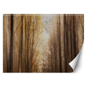 FOTOTAPETA FLIZELINOWA 3D Las Drzewa 100x70