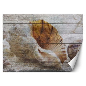 FOTOTAPETA Muszle Drewno Morze Vintage 250x175