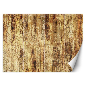 FOTOTAPETA 3D Abstrakcja Tekstura 450x315