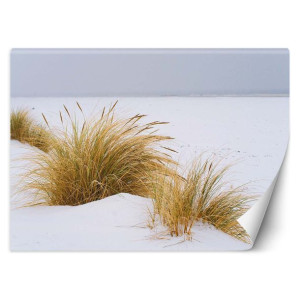FOTOTAPETA TAPETA Plaża Morze Trawy Wydmy 250x175