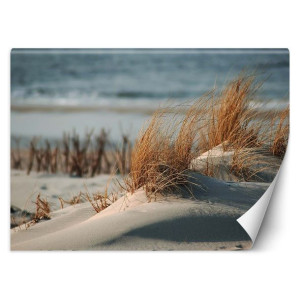 FOTOTAPETA Plaża Morze Trawy Wydmy 100x70