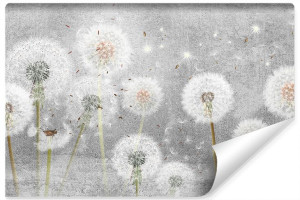 Fototapeta Abstrakcyjne DMUCHAWCE Beton 3D 270x180