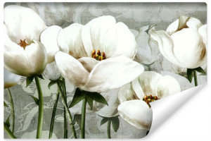 Fototapeta BIAŁE Tulipany Malunek Ozdoba 450x300