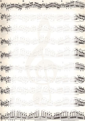 Dyplomy Galeria Papieru A4 Nuty 25 Arkuszy 170 G/m