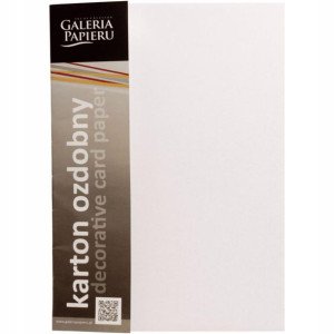 Papier Wizytówkowy Floryda Biały 220g 20szt Galeri