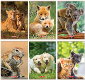 Zeszyt Animals A5 32k Linia Potrójna Mix Herlitz