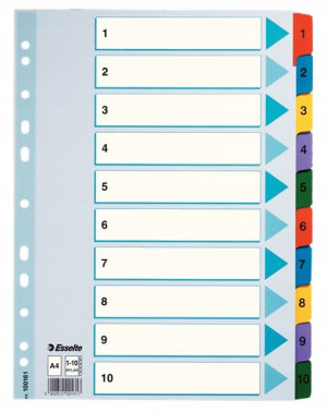 przekładki kartonowe MYLAR A4 1-10 kolor 100161