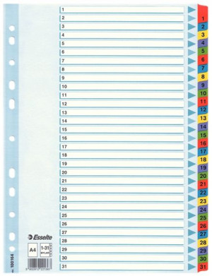 przekładki kartonowe MYLAR A4 1-31 kolor 100164