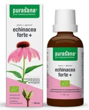 Echinacea Forte (jeżówka Purpurowa) Krople Bio 50 Ml - Purasana
