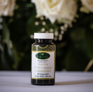 Gotu Kola Kapsułki 240 Mg Depresja, Lęki, Stres