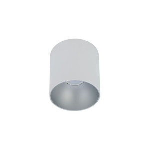 POINT TONE white-silver