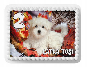 Opłatek Na Tort A3 24x24 Cm - Piesek Pies Wybór