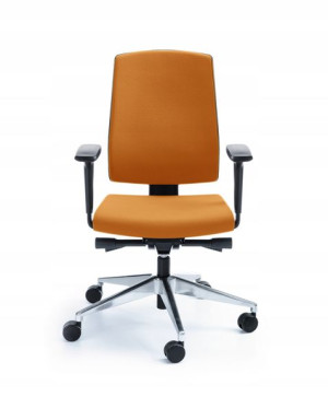 Raya 21SL fotel obrotowy chrom P45PP - PROFIM