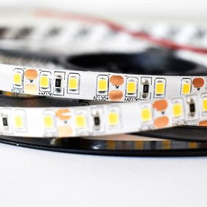 Taśma Pro 120 LED 48W 6000K IP65 5m