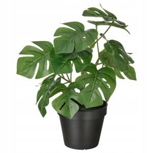 IKEA FEJKA Sztuczna roślina ZIELONA MONSTERA 12cm
