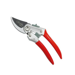 Dedra Sekator Nożycowy Do Cięcia Pędów Garden 80a002