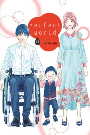 Manga Perfect World Tom 12