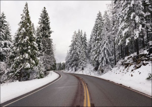 A living snow globe scene and winter wonderland, c