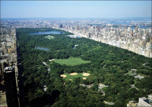 Aerial view of Central Park, New York., Carol High