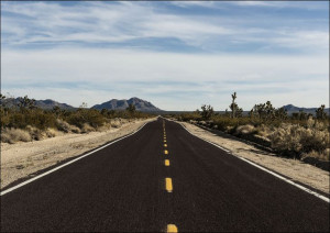 A very long and very brown road in the Mojave Nati